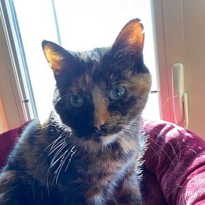 Meet your Posher, Jo